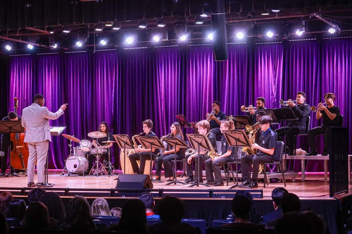 Instrumental music concert